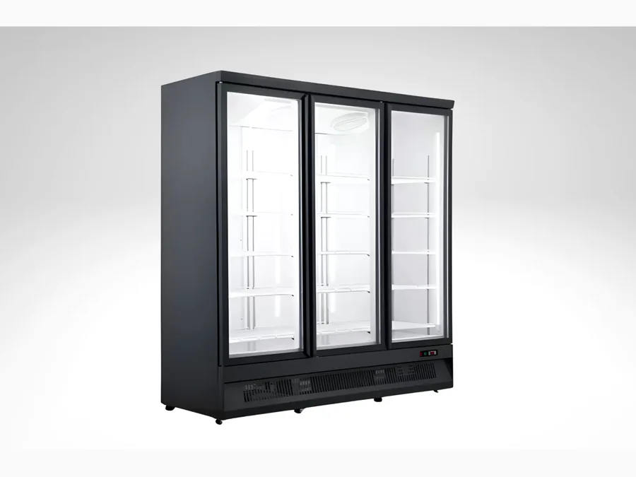 Armoire négative 3 portes vitrées Ariège